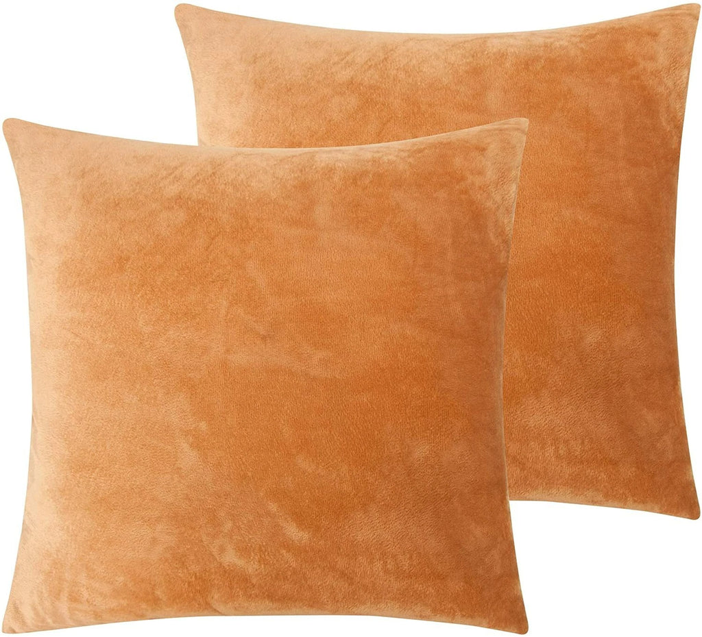 Ultra Soft 100% Velvet Throw Pillow Covers 2 Pack Home Sofa Decor Cushion Covers