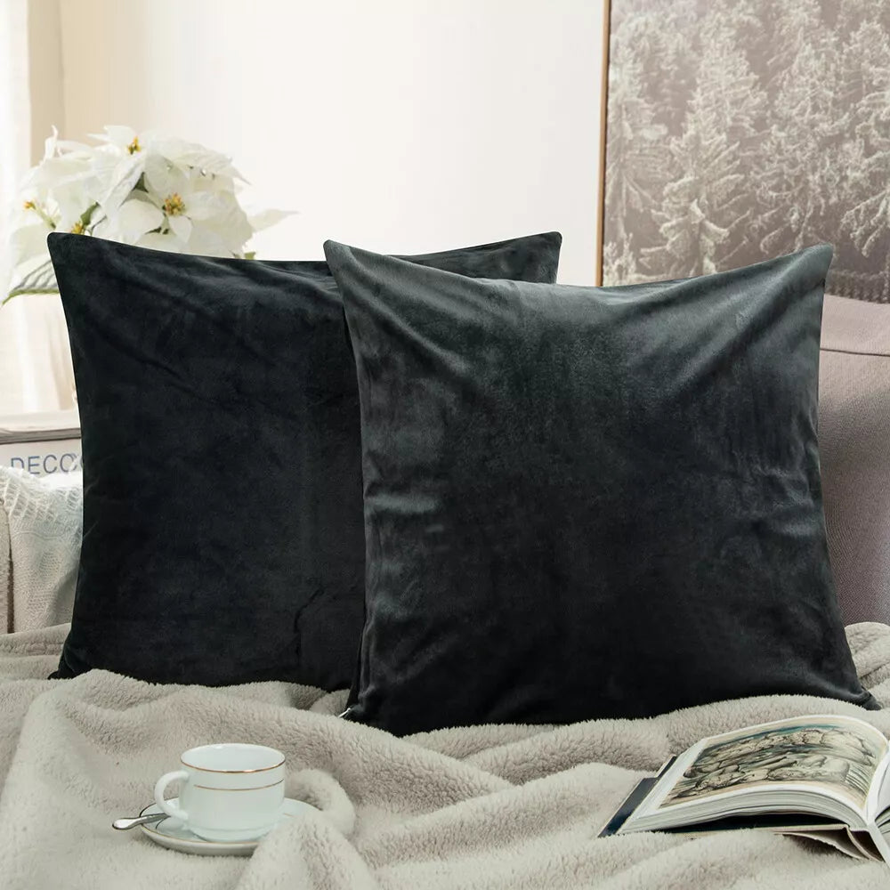 Ultra Soft 100% Velvet Throw Pillow Covers 2 Pack Home Sofa Decor Cushion Covers
