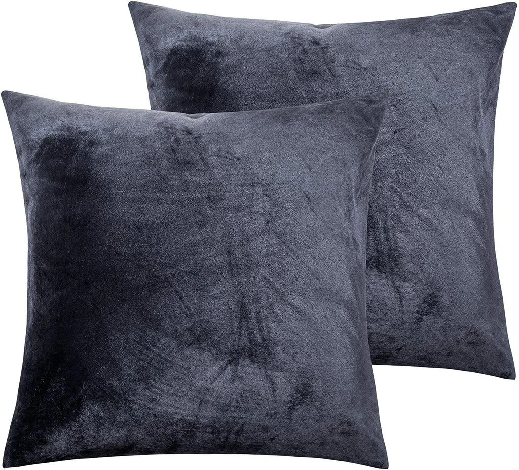 Ultra Soft 100% Velvet Throw Pillow Covers 2 Pack Home Sofa Decor Cushion Covers