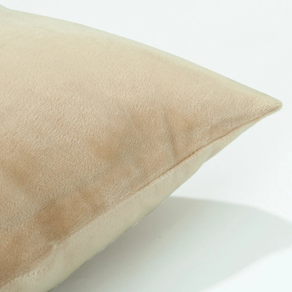 Ultra Soft 100% Velvet Throw Pillow Covers 2 Pack Home Sofa Decor Cushion Covers
