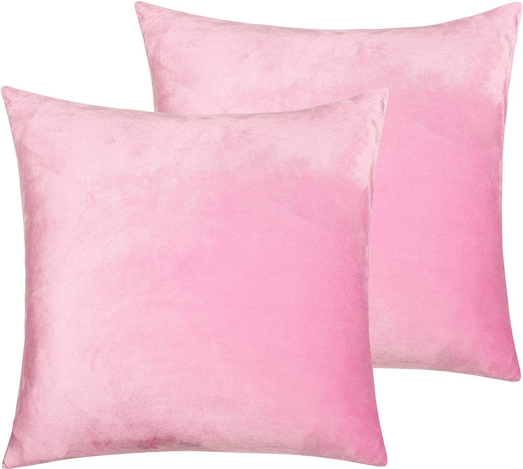 Ultra Soft 100% Velvet Throw Pillow Covers 2 Pack Home Sofa Decor Cushion Covers