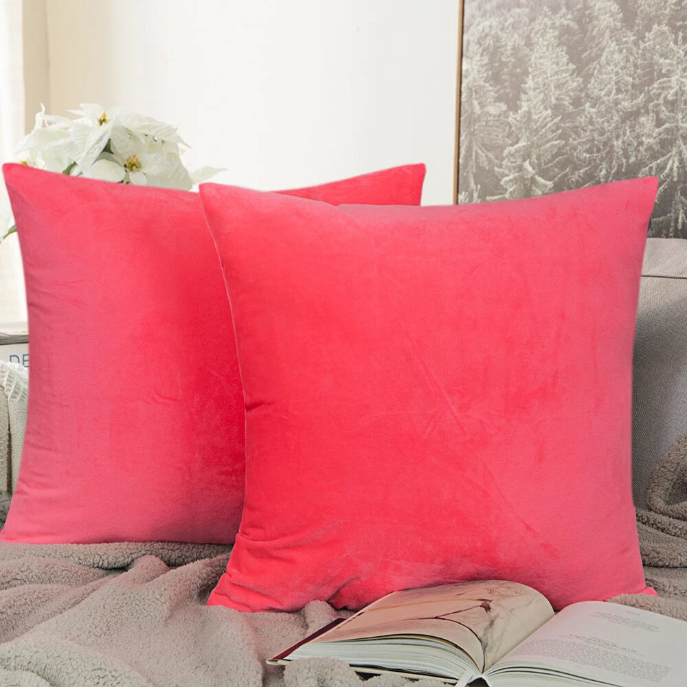 Ultra Soft 100% Velvet Throw Pillow Covers 2 Pack Home Sofa Decor Cushion Covers