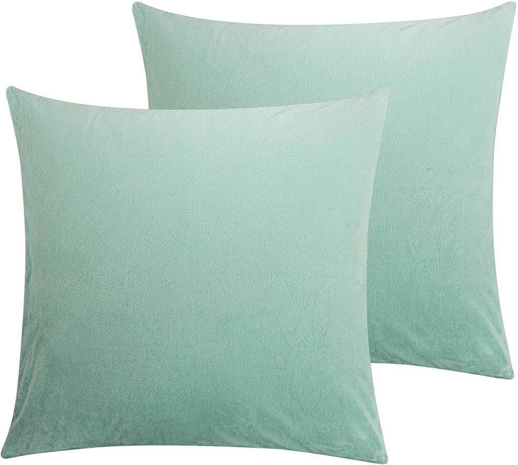 Ultra Soft 100% Velvet Throw Pillow Covers 2 Pack Home Sofa Decor Cushion Covers