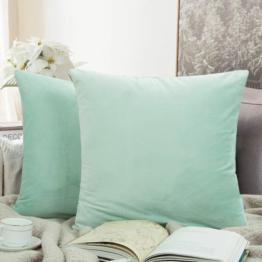 Ultra Soft 100% Velvet Throw Pillow Covers 2 Pack Home Sofa Decor Cushion Covers