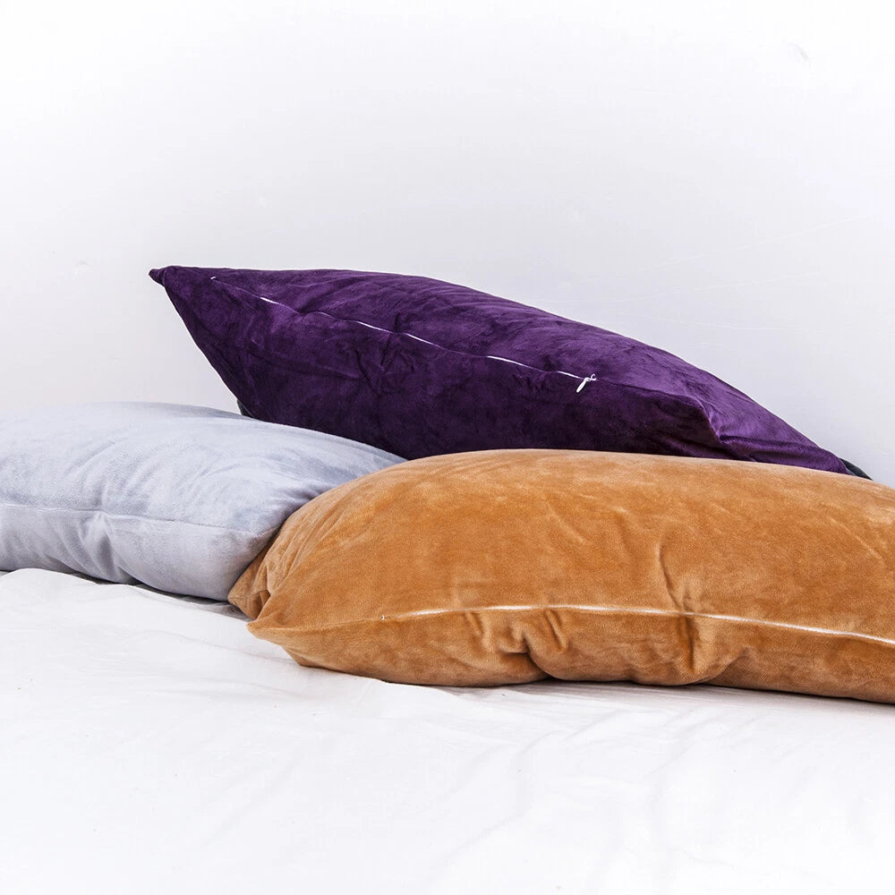 Ultra Soft 100% Velvet Throw Pillow Covers 2 Pack Home Sofa Decor Cushion Covers