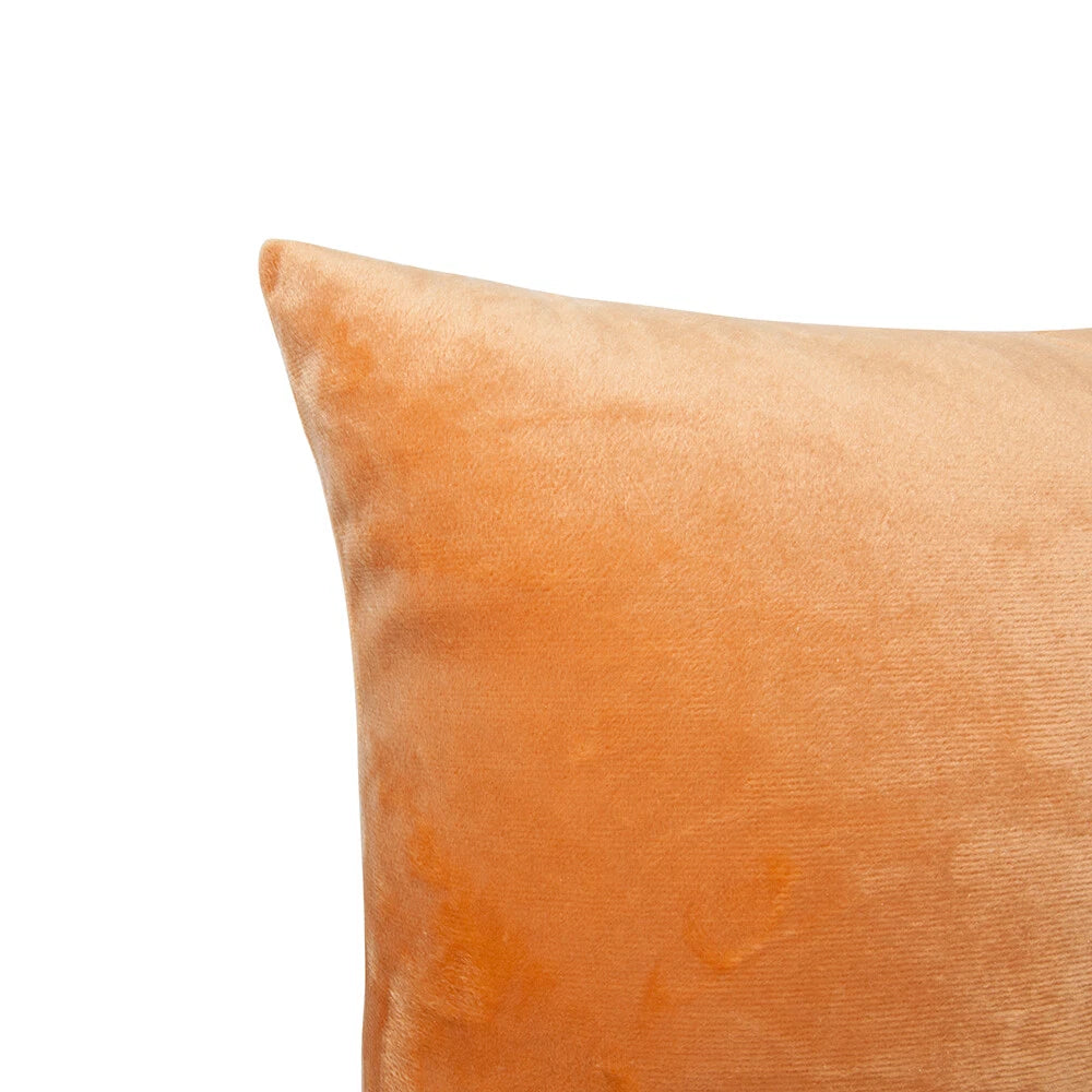 Ultra Soft 100% Velvet Throw Pillow Covers 2 Pack Home Sofa Decor Cushion Covers