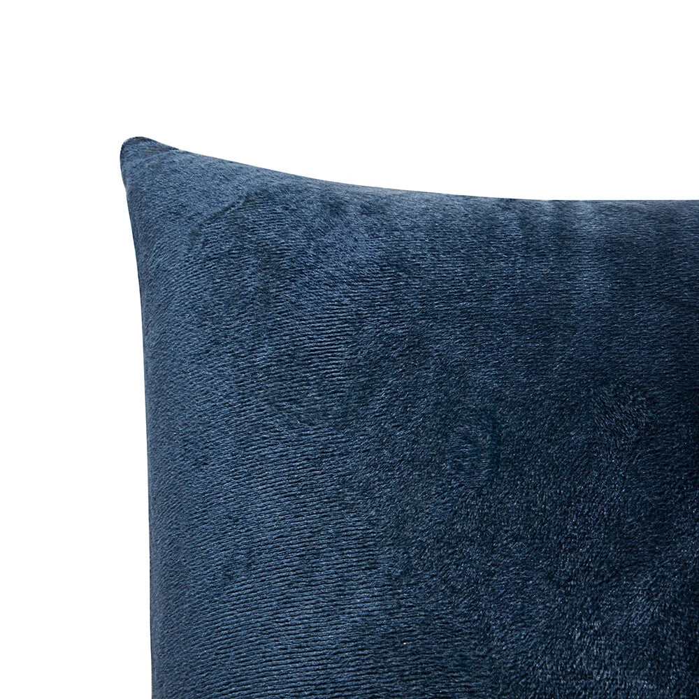 Ultra Soft 100% Velvet Throw Pillow Covers 2 Pack Home Sofa Decor Cushion Covers