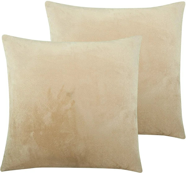 Ultra Soft 100% Velvet Throw Pillow Covers 2 Pack Home Sofa Decor Cushion Covers