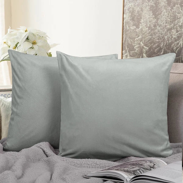 Ultra Soft 100% Velvet Throw Pillow Covers 2 Pack Home Sofa Decor Cushion Covers