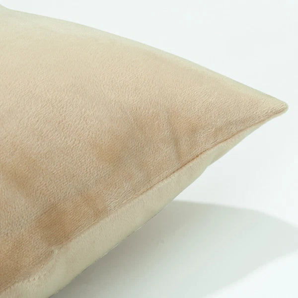 Ultra Soft 100% Velvet Throw Pillow Covers 2 Pack Home Sofa Decor Cushion Covers