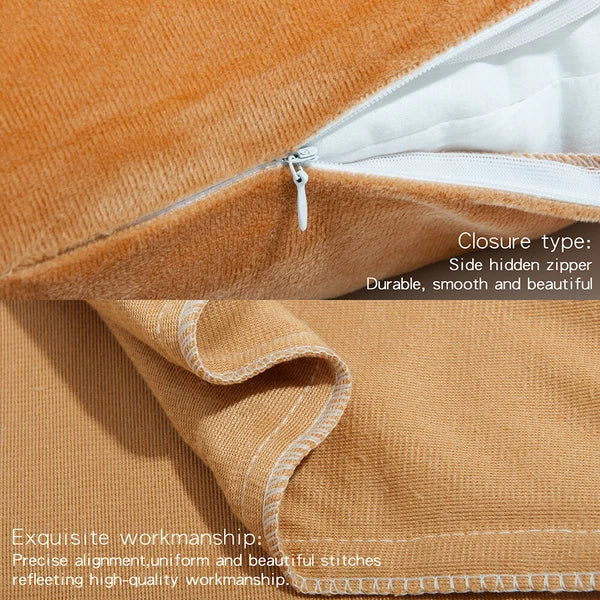 Ultra Soft 100% Velvet Throw Pillow Covers 2 Pack Home Sofa Decor Cushion Covers