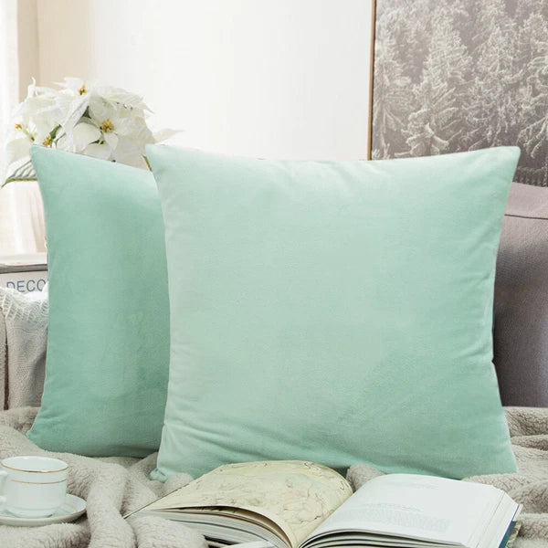 Ultra Soft 100% Velvet Throw Pillow Covers 2 Pack Home Sofa Decor Cushion Covers