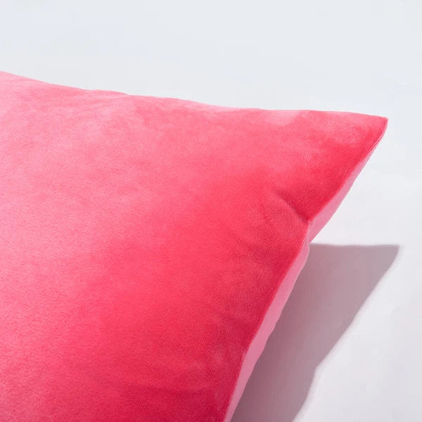 Ultra Soft 100% Velvet Throw Pillow Covers 2 Pack Home Sofa Decor Cushion Covers