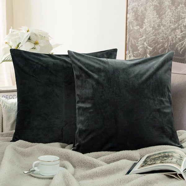Ultra Soft 100% Velvet Throw Pillow Covers 2 Pack Home Sofa Decor Cushion Covers